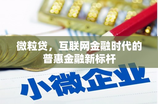 宁晋微粒贷，互联网金融时代的普惠金融新标杆