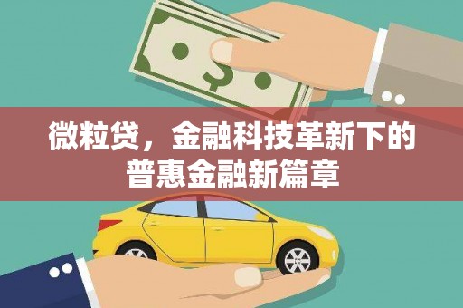 宁晋微粒贷，金融科技革新下的普惠金融新篇章