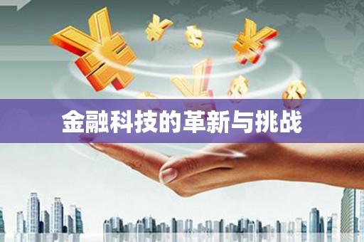 宁晋金融科技的革新与挑战