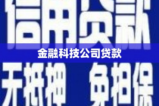 宁晋金融科技公司贷款