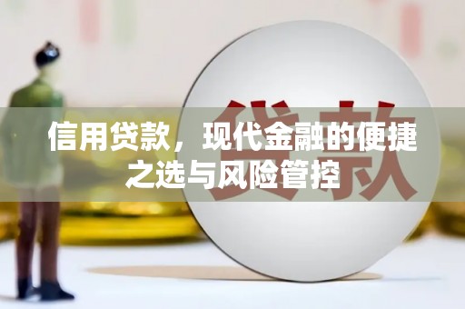 宁晋信用贷款，现代金融的便捷之选与风险管控