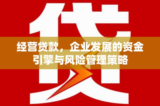 宁晋经营贷款，企业发展的资金引擎与风险管理策略