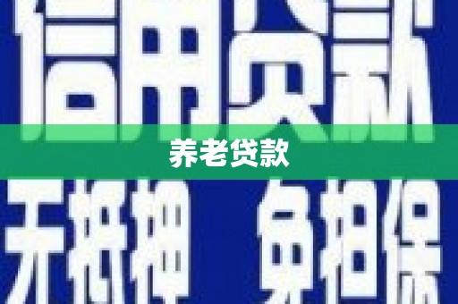 宁晋养老贷款