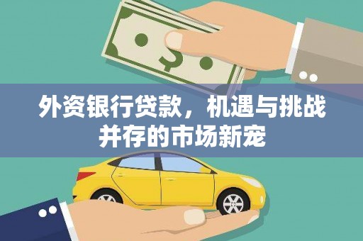 宁晋外资银行贷款，机遇与挑战并存的市场新宠