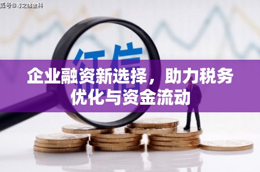 宁晋企业融资新选择，助力税务优化与资金流动