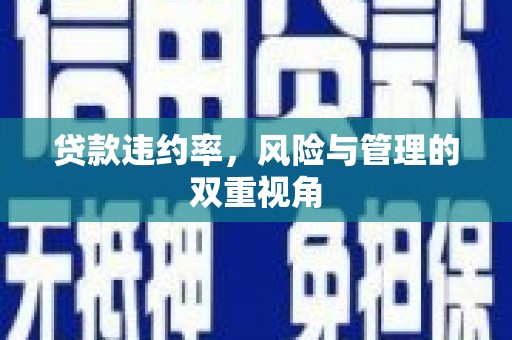 宁晋贷款违约率，风险与管理的双重视角