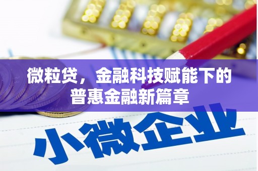 宁晋微粒贷，金融科技赋能下的普惠金融新篇章