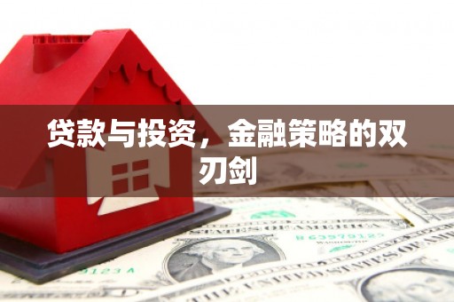 宁晋贷款与投资，金融策略的双刃剑