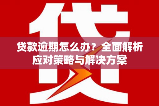 宁晋贷款逾期怎么办？全面解析应对策略与解决方案