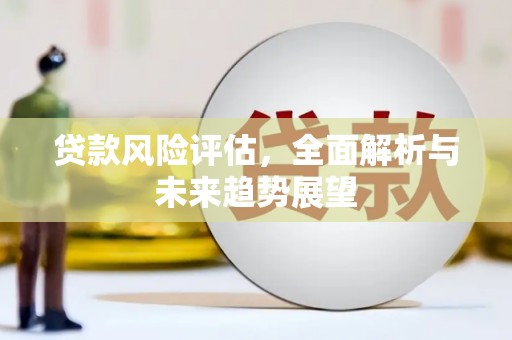 宁晋贷款风险评估，全面解析与未来趋势展望