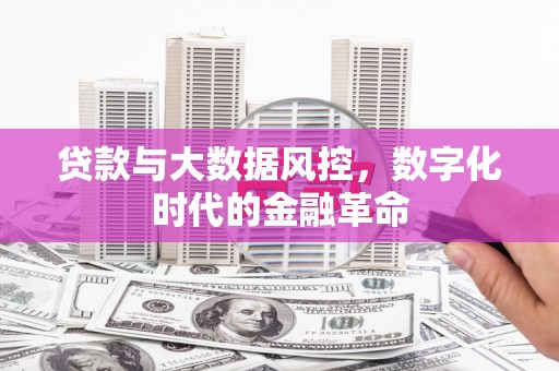 宁晋贷款与大数据风控，数字化时代的金融革命