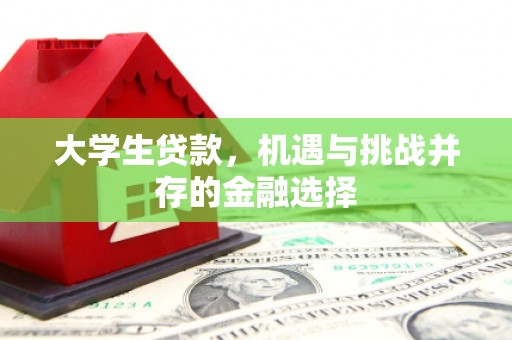 宁晋大学生贷款，机遇与挑战并存的金融选择