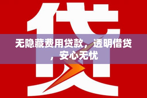 宁晋无隐藏费用贷款，透明借贷，安心无忧