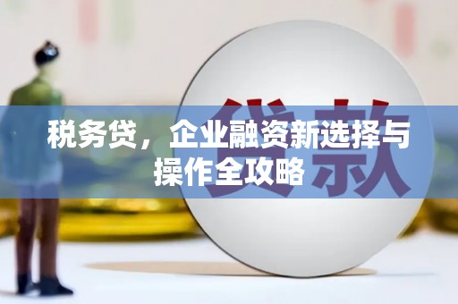宁晋税务贷，企业融资新选择与操作全攻略
