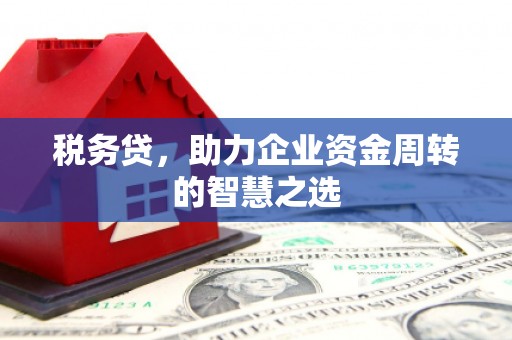 宁晋税务贷，助力企业资金周转的智慧之选