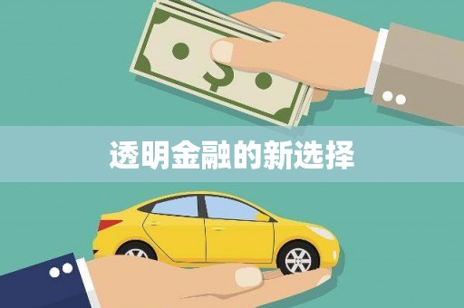宁晋透明金融的新选择
