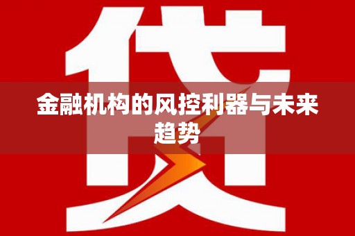 宁晋金融机构的风控利器与未来趋势