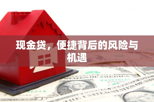 宁晋现金贷，便捷背后的风险与机遇