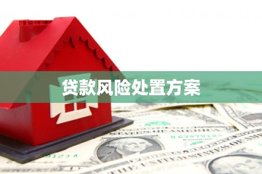 宁晋贷款风险处置方案