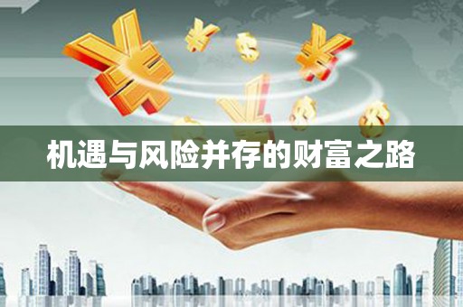 宁晋机遇与风险并存的财富之路