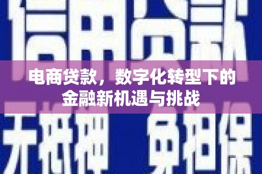 宁晋电商贷款，数字化转型下的金融新机遇与挑战
