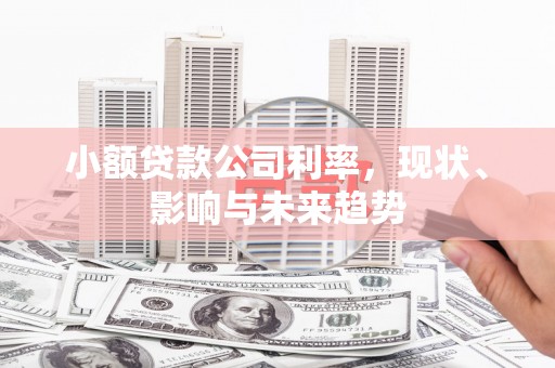 宁晋小额贷款公司利率，现状、影响与未来趋势