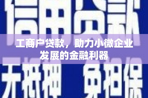 宁晋工商户贷款，助力小微企业发展的金融利器