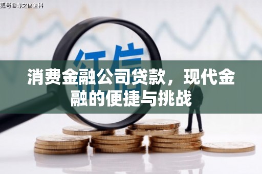宁晋消费金融公司贷款，现代金融的便捷与挑战