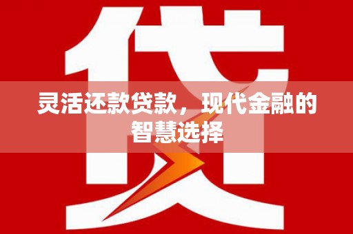 宁晋灵活还款贷款，现代金融的智慧选择
