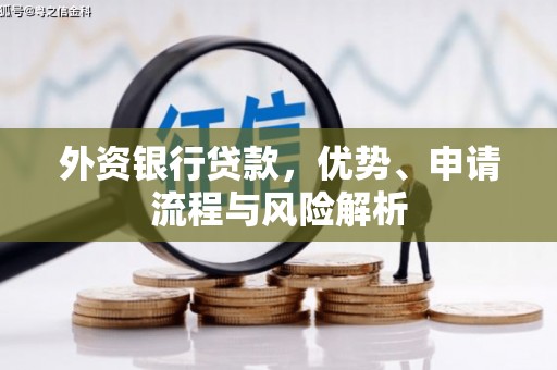 宁晋外资银行贷款，优势、申请流程与风险解析
