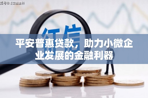 宁晋平安普惠贷款，助力小微企业发展的金融利器