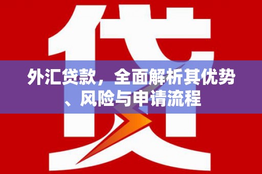 宁晋外汇贷款，全面解析其优势、风险与申请流程