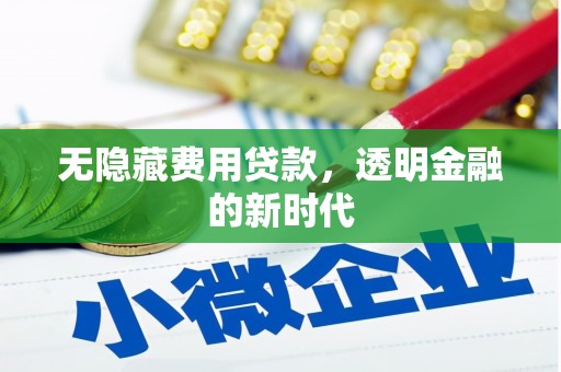 宁晋无隐藏费用贷款，透明金融的新时代