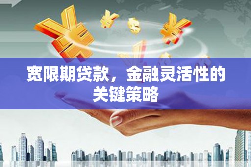 宁晋宽限期贷款，金融灵活性的关键策略