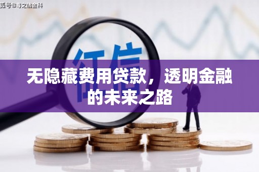 宁晋无隐藏费用贷款，透明金融的未来之路