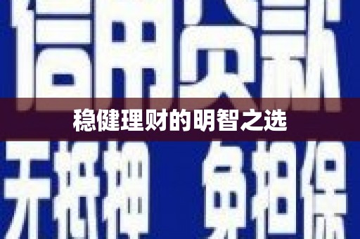 宁晋稳健理财的明智之选