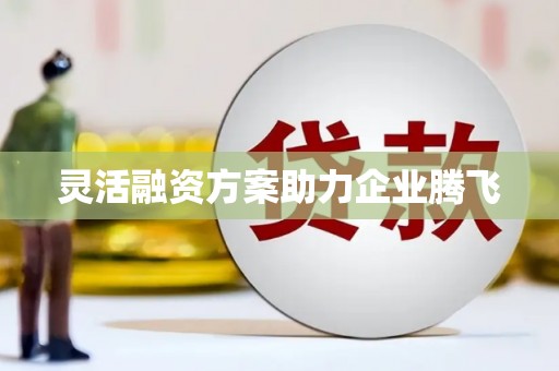 宁晋灵活融资方案助力企业腾飞