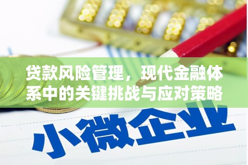 宁晋贷款风险管理，现代金融体系中的关键挑战与应对策略