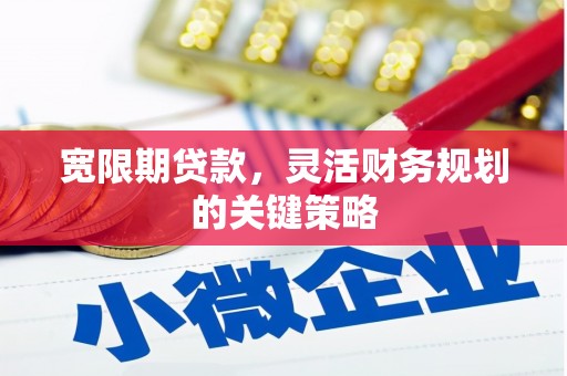 宁晋宽限期贷款，灵活财务规划的关键策略