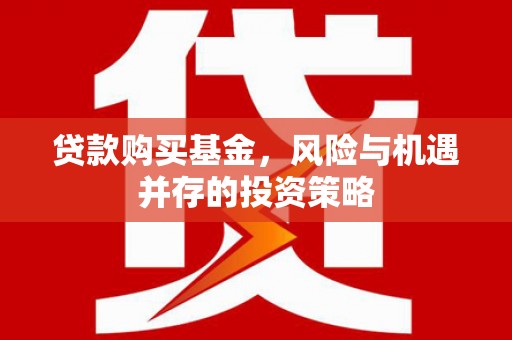 宁晋贷款购买基金，风险与机遇并存的投资策略
