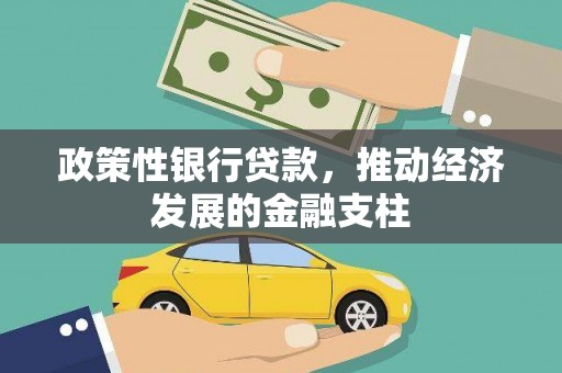 宁晋政策性银行贷款，推动经济发展的金融支柱