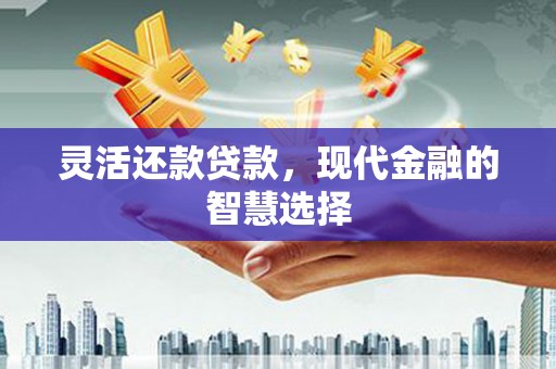 宁晋灵活还款贷款，现代金融的智慧选择