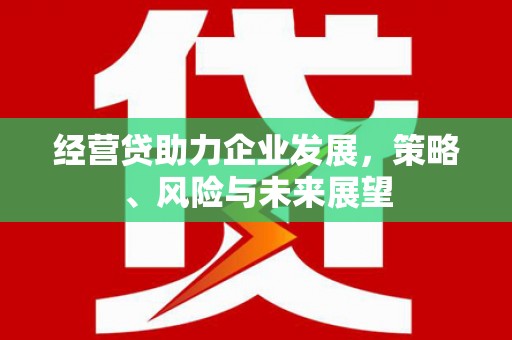 宁晋经营贷助力企业发展，策略、风险与未来展望
