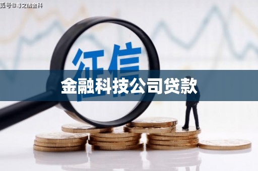 宁晋金融科技公司贷款