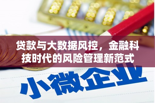 宁晋贷款与大数据风控，金融科技时代的风险管理新范式