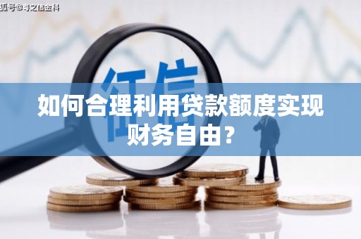 宁晋如何合理利用贷款额度实现财务自由？