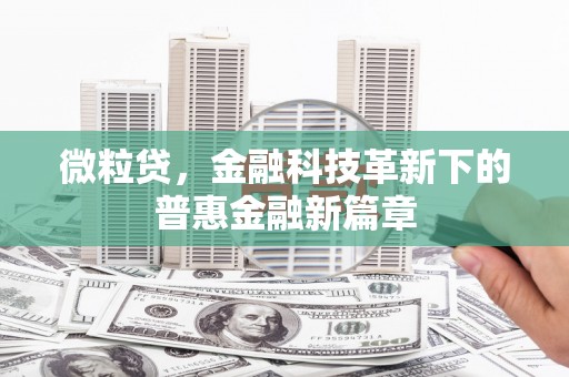 宁晋微粒贷，金融科技革新下的普惠金融新篇章