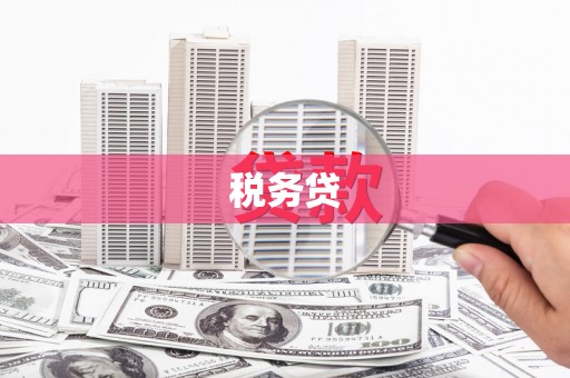 宁晋税务贷