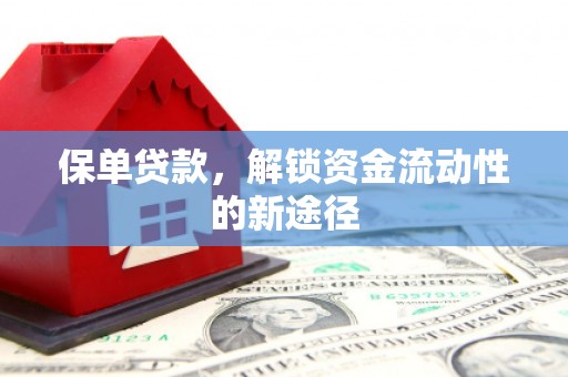 宁晋保单贷款，解锁资金流动性的新途径