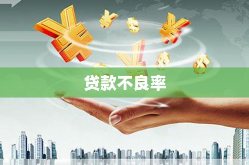 宁晋贷款不良率